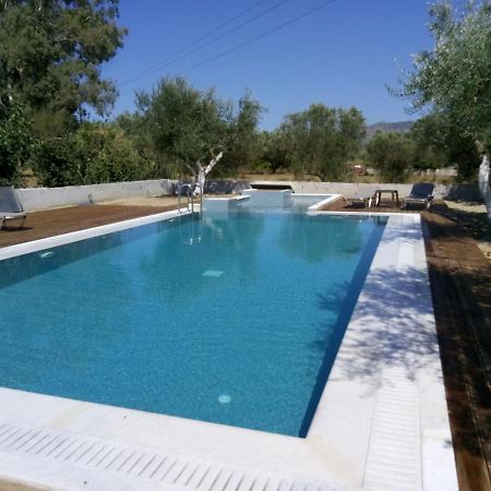 Villa Penelope Kalpaki  Exterior photo
